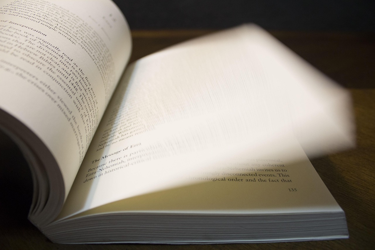 Libro Bianco sulla Violenza di Genere: una guida per la formazione e il cambiamento